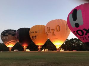 Dreams project with elderly lady and nurse caregiver five balloons ready to take off