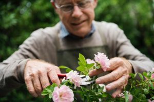 man gardeningjpg