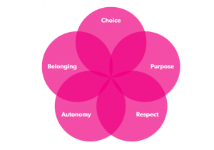 an image of the 5 pillars of happiness and how they come together to create happiness as a whole